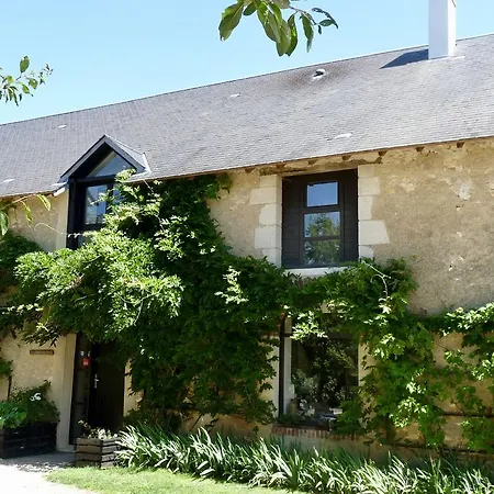 Bed & Breakfast La Ligne Angles-sur-lʼAnglin